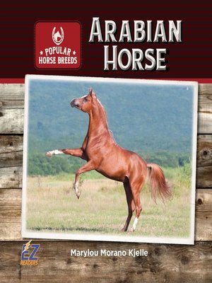 cover image of Arabian Horse
